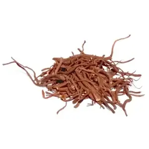 Organic Gentian Roots Whole